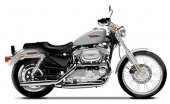 2001 Harley-Davidson Sportster 1200 Custom photo